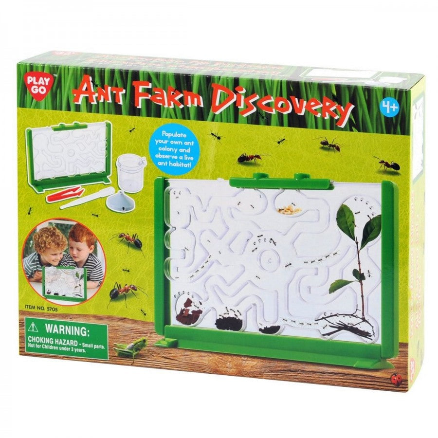 Ant farm Discovery-Yarrawonga Fun and Games.