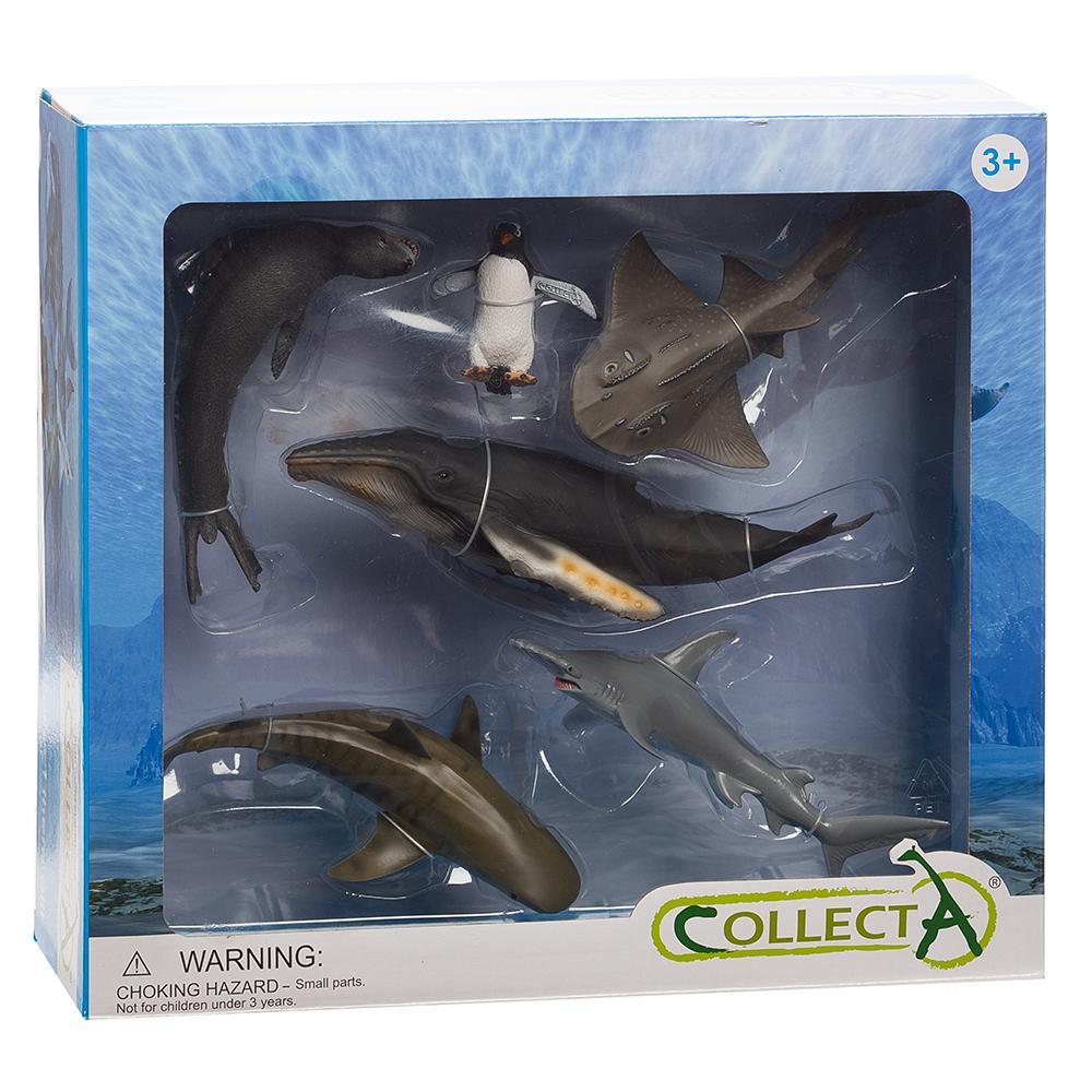 Collecta Boxed Set - Sea Life-Yarrawonga Fun and Games