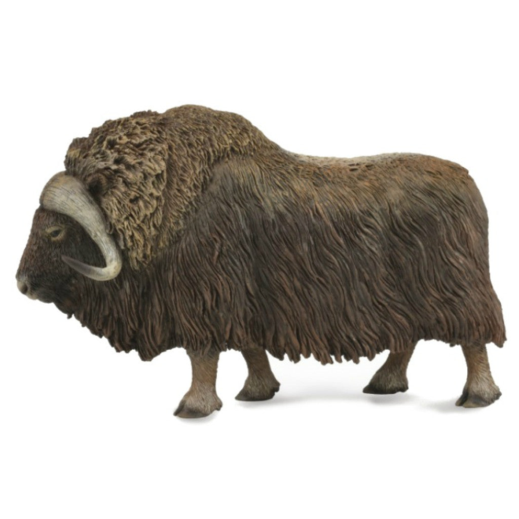 Collecta - Musk Ox-Yarrawonga Fun and Games