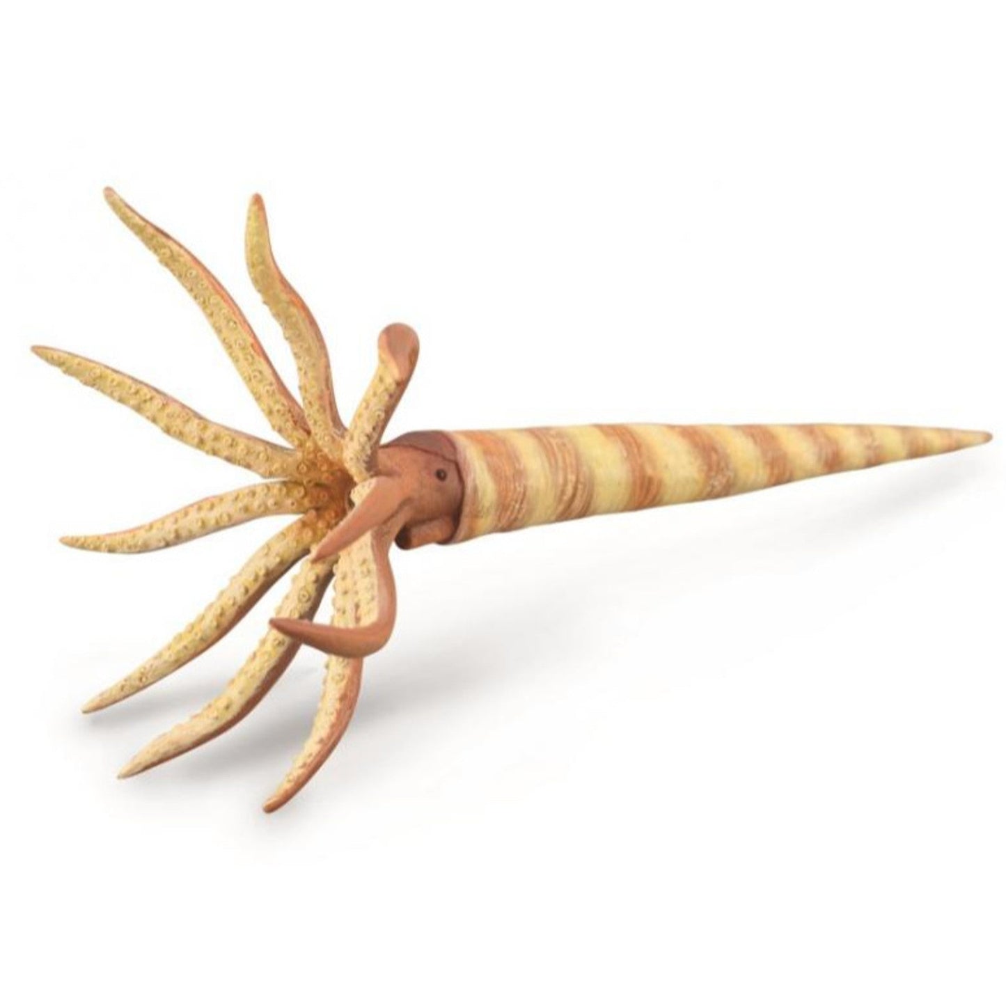 Collecta Orthoceras-Yarrawonga Fun and Games