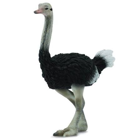 Collecta Ostrich