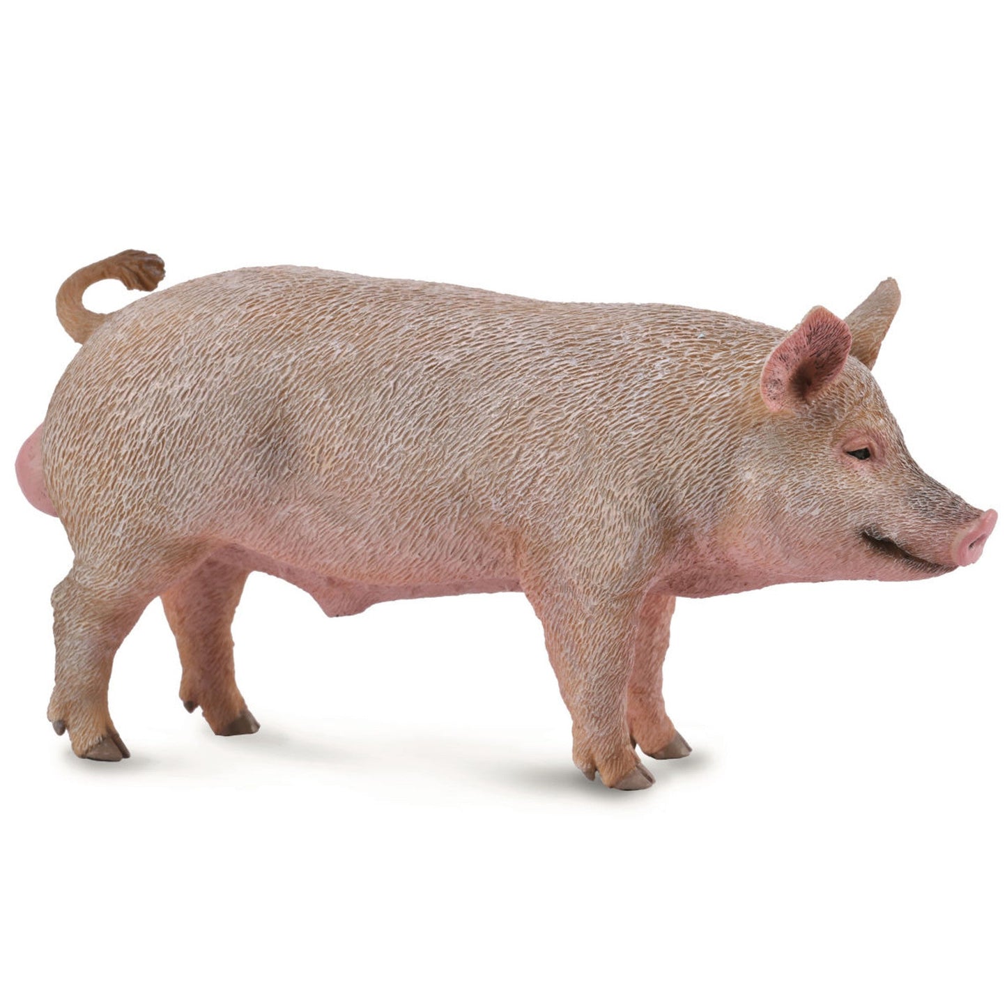Collecta Pig - Boar-Yarrawonga Fun and Games
