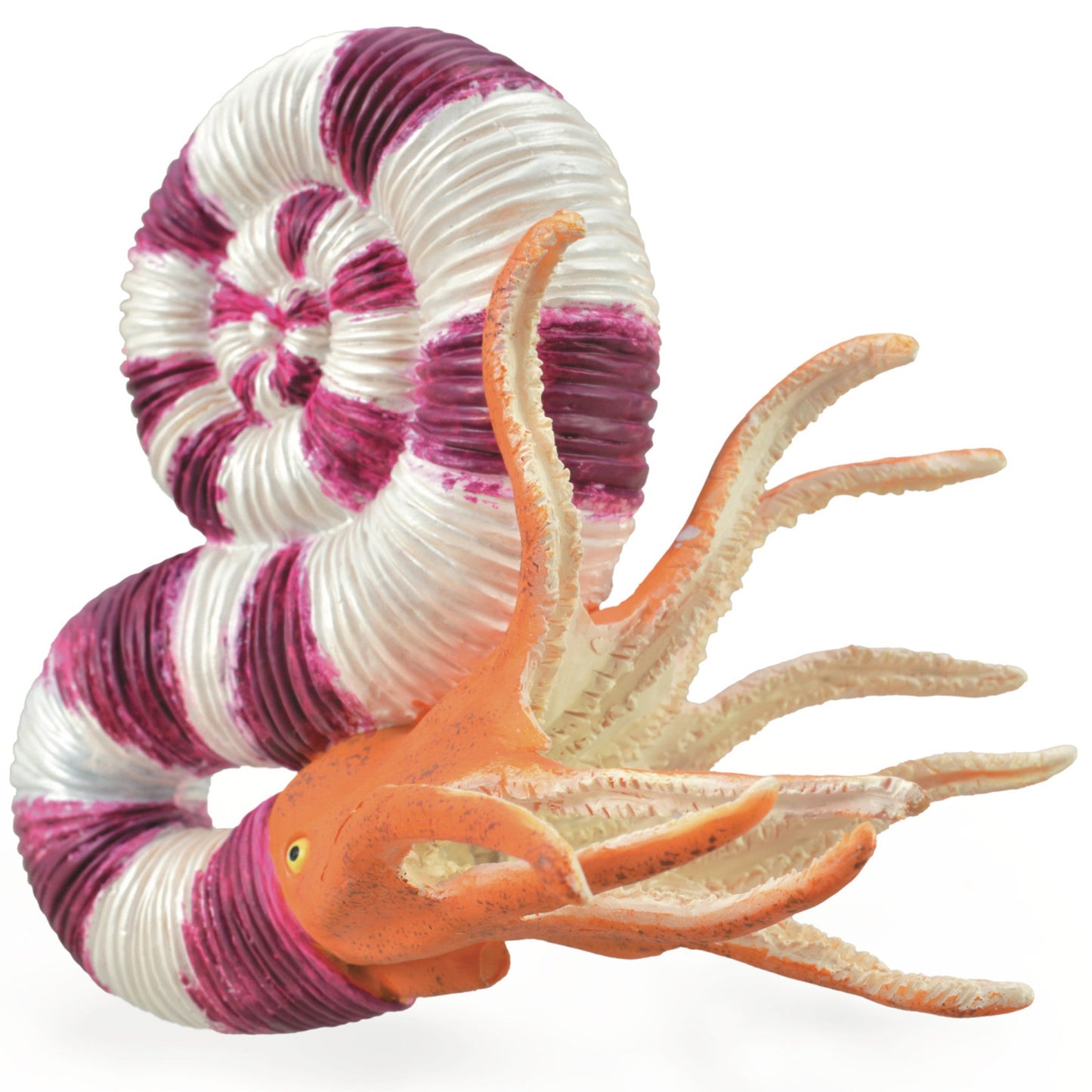 Collecta Pravitoceras-Yarrawonga Fun and Games