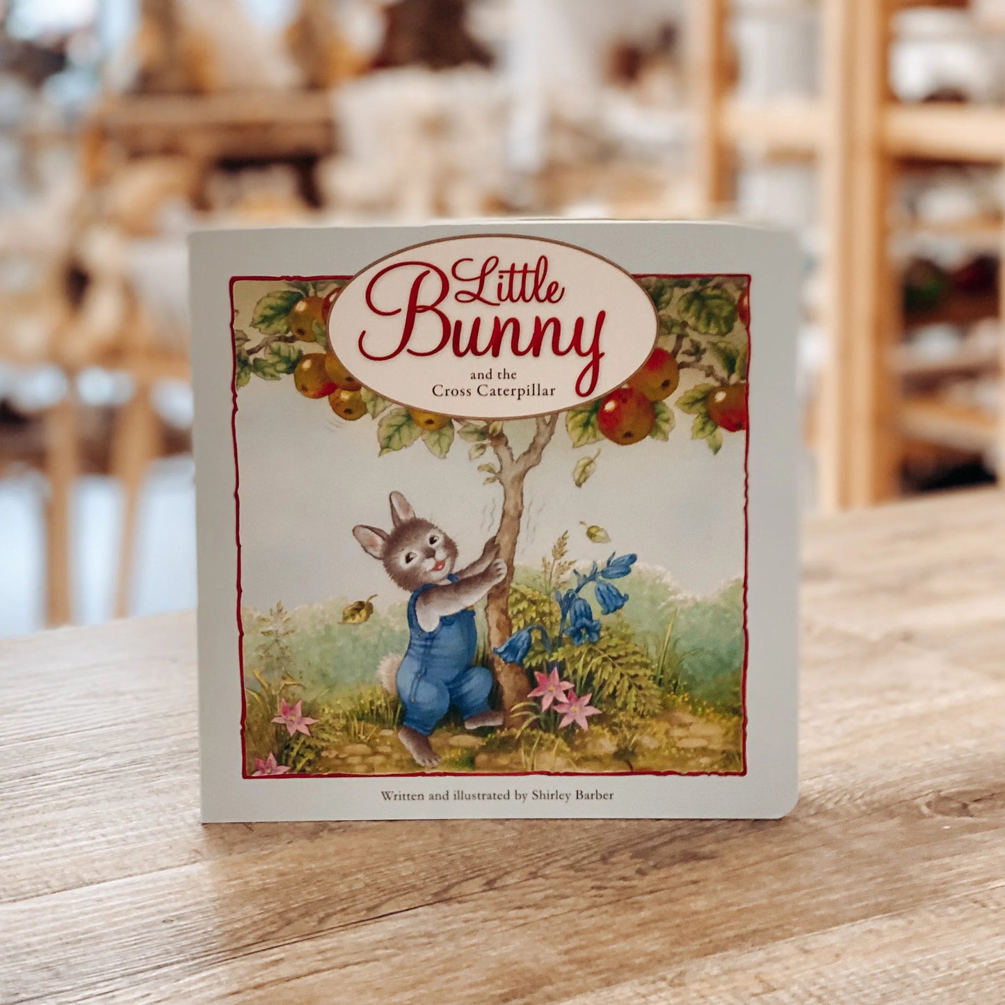 Little Bunny and the cross Caterpillar - Book-Yarrawonga Fun and Games