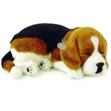 Perfect Petzzz - Beagle Dog-Yarrawonga Fun and Games