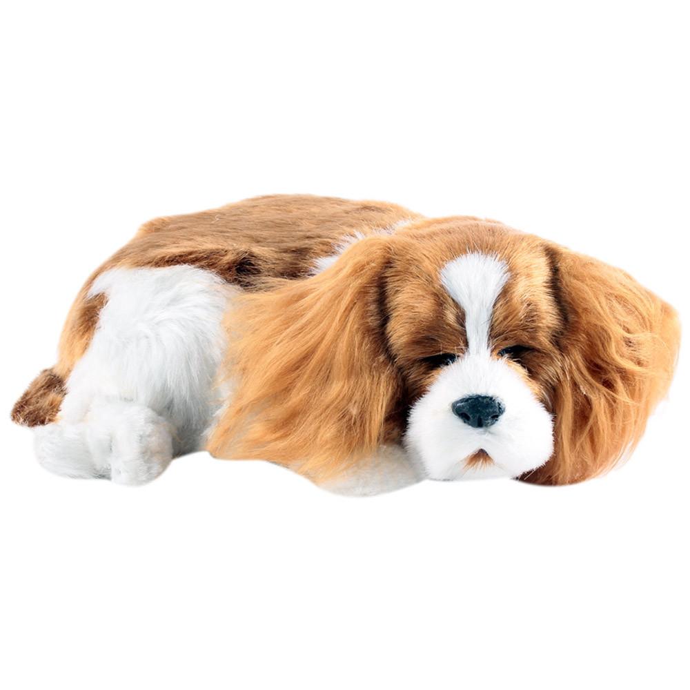 Perfect Petzzz - Cavalier King Charles Dog-Yarrawonga Fun and Games