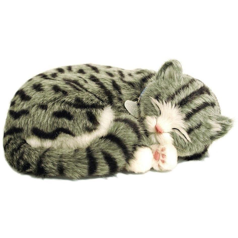 Perfect Petzzz - Grey Tabby Cat-Yarrawonga Fun and Games