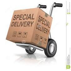 Special Shipping-Yarrawonga Fun and Games