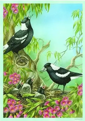 1000 Piece Jigsaw - Australian Magpies