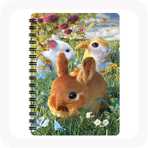3D Bunnies Notepad-Yarrawonga Fun and Games
