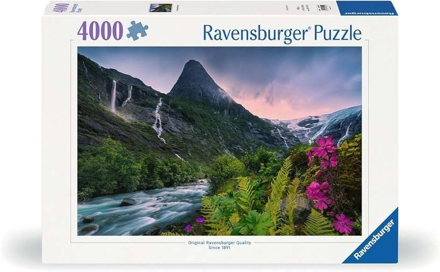4000 piece Jigsaw -