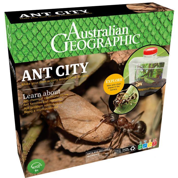 Ant City-Yarrawonga Fun and Games