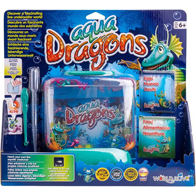 Aqua Dragons - Aquarium-Yarrawonga Fun and Games