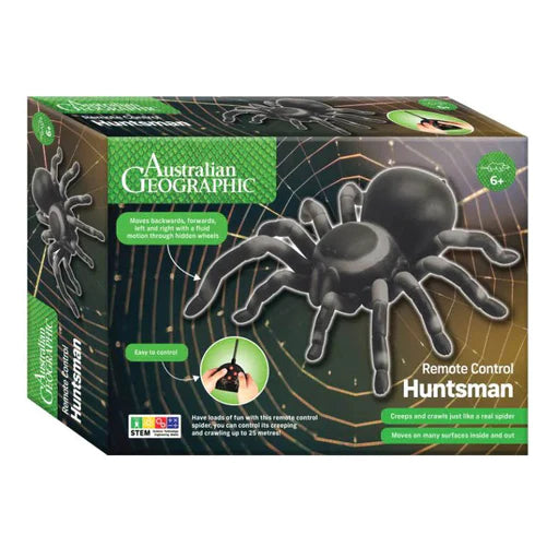 Remote Control Huntsman Spider-Yarrawonga Fun and Games