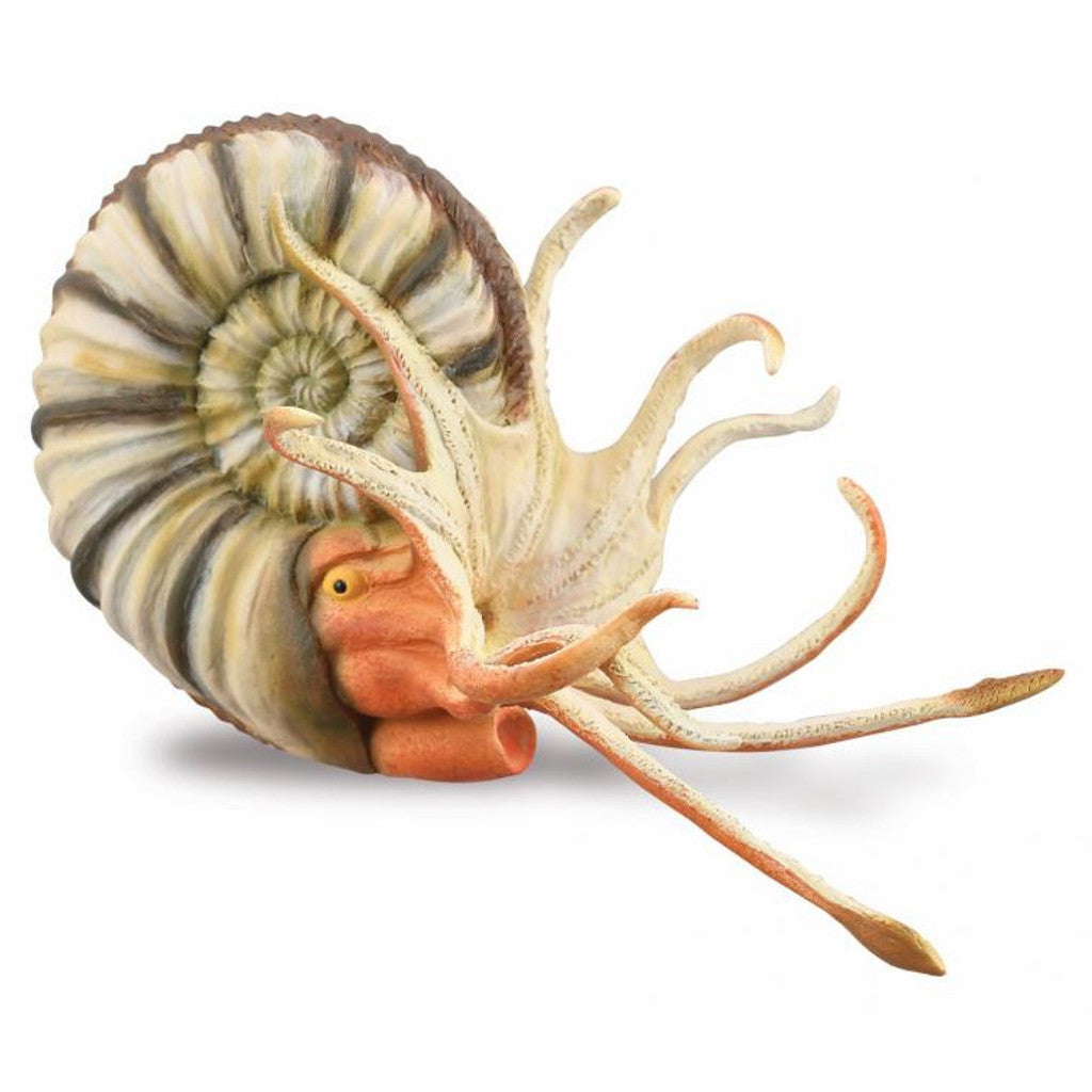 Collecta Ammonite-Yarrawonga Fun and Games