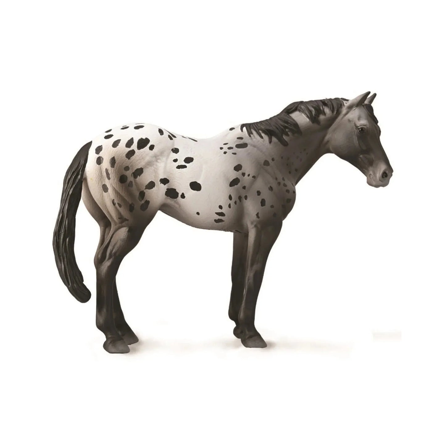 Collecta - Appaloosa Blue Roan-Yarrawonga Fun and Games
