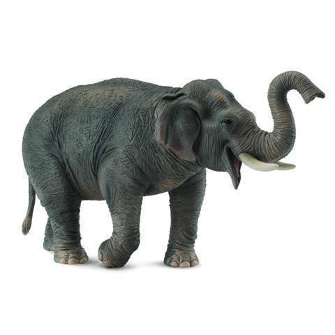 Collecta Asian Elephant-Yarrawonga Fun and Games