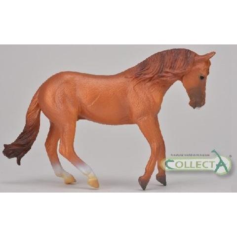 Collecta - Australian Stockhorse-Yarrawonga Fun and Games