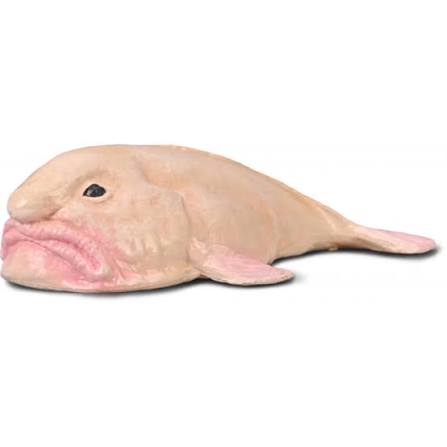 Collecta Blob Fish