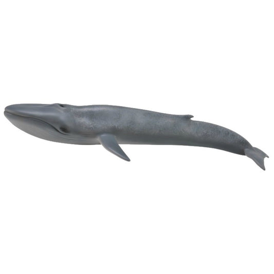 Collecta Blue Whale-Yarrawonga Fun and Games