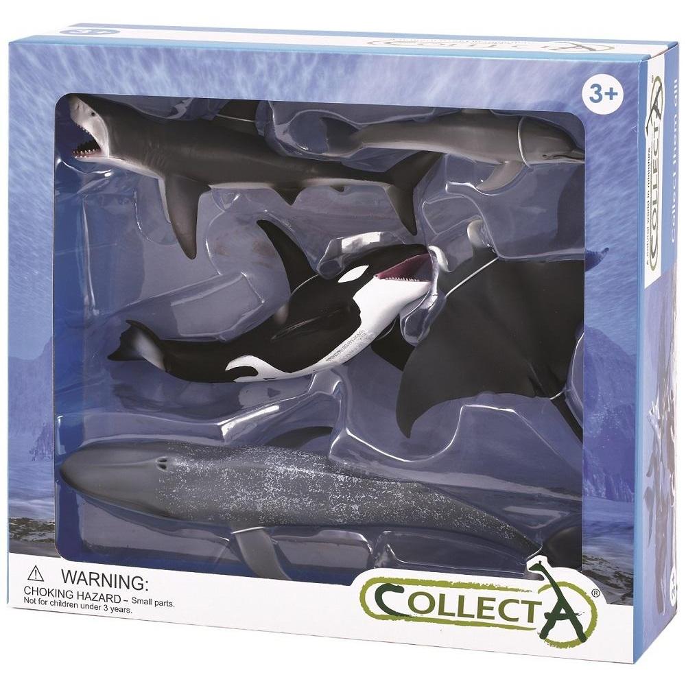 Collecta Boxed Set - Sea Life-Yarrawonga Fun and Games