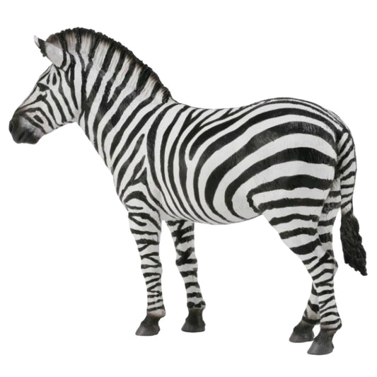 Collecta Common Zebra-Yarrawonga Fun and Games