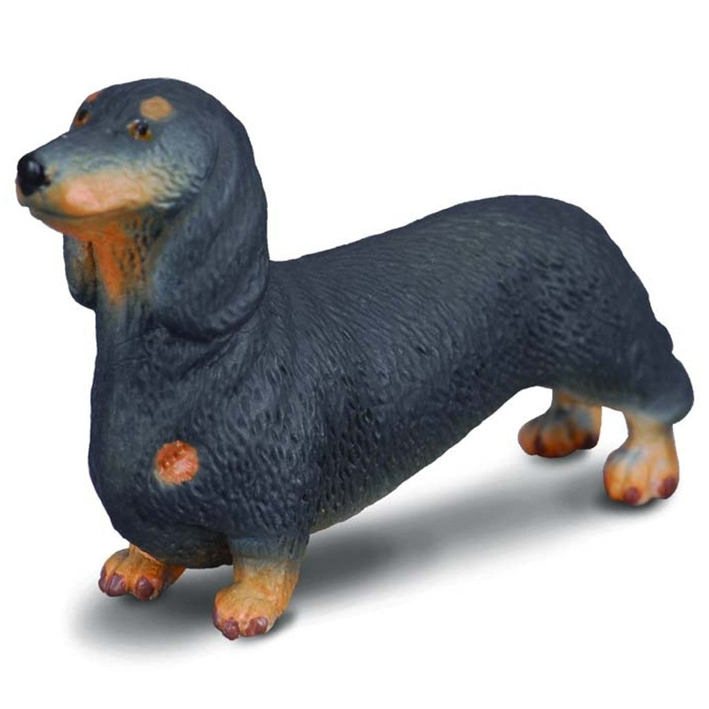 Collecta Dachshund-Yarrawonga Fun and Games