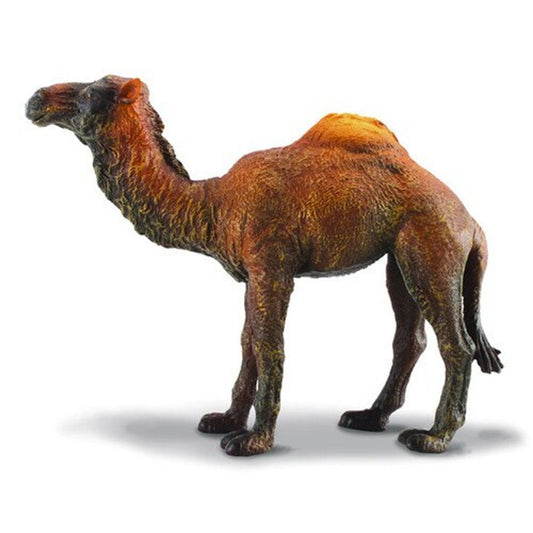 Collecta Dromedary Camel-Yarrawonga Fun and Games