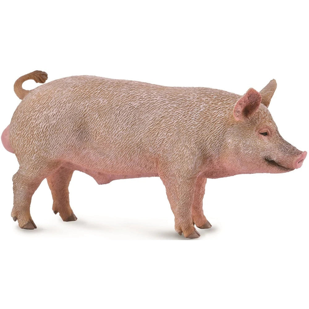 Collecta Pig - Boar-Yarrawonga Fun and Games