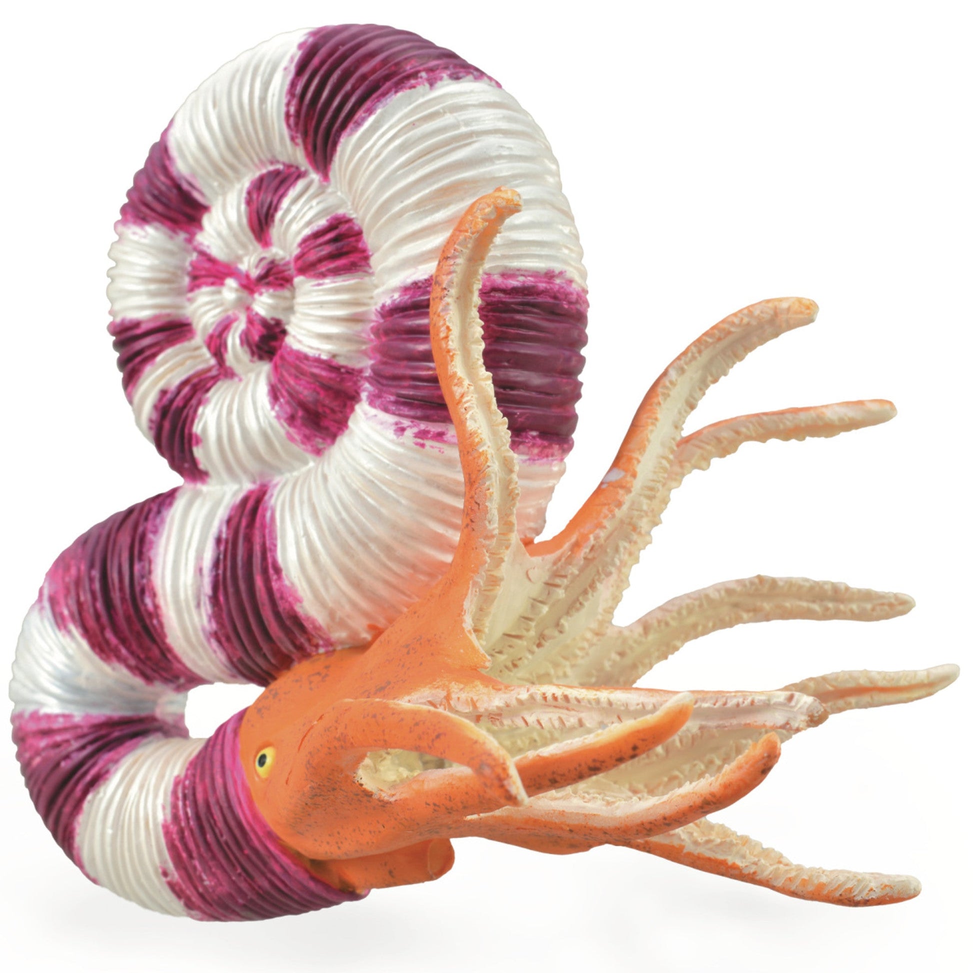 Collecta Pravitoceras-Yarrawonga Fun and Games