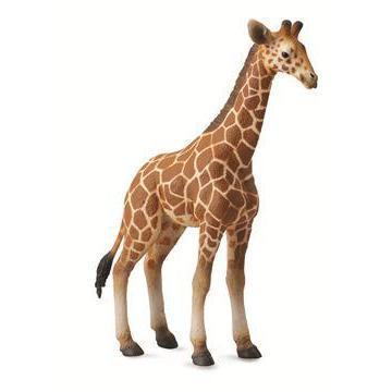 Collecta Reticulated Giraffe Calf-Yarrawonga Fun and Games