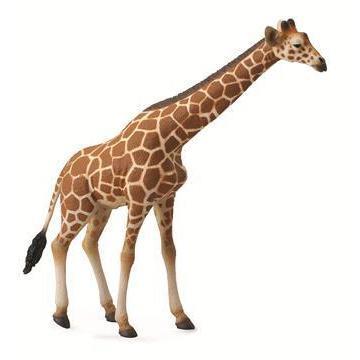 Collecta Reticulated Giraffe-Yarrawonga Fun and Games