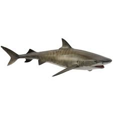 Collecta Tiger Shark