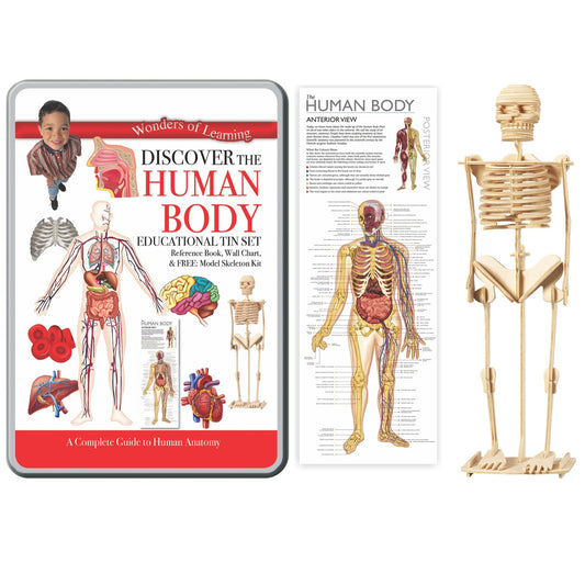 Discover the Human Body-Yarrawonga Fun and Games