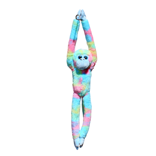 Hanging Monkey - Pastel Rainbow-Yarrawonga Fun and Games