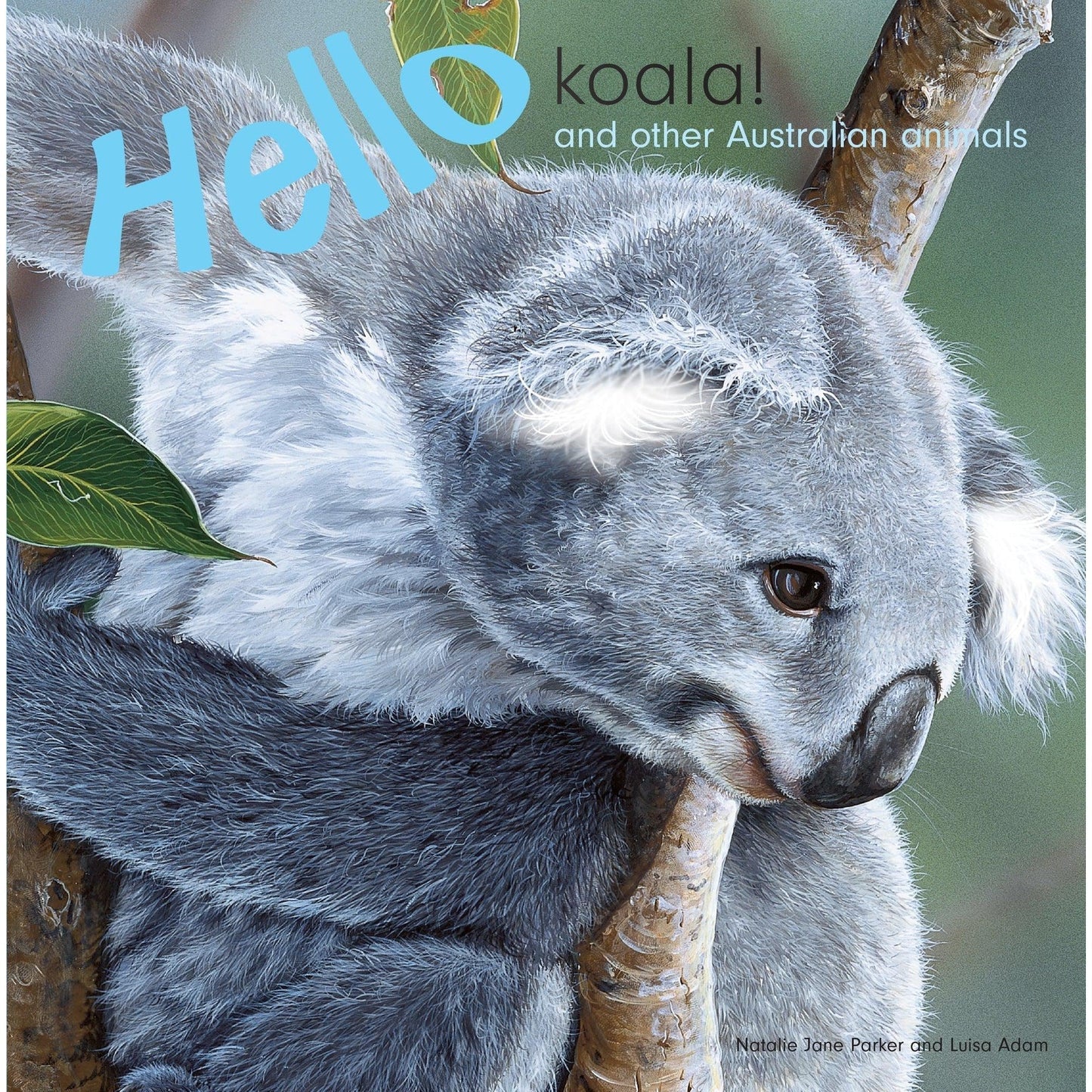 Hello Koala - Book-Yarrawonga Fun and Games