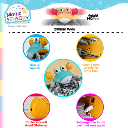 Interactive Crawling Crab-Yarrawonga Fun and Games