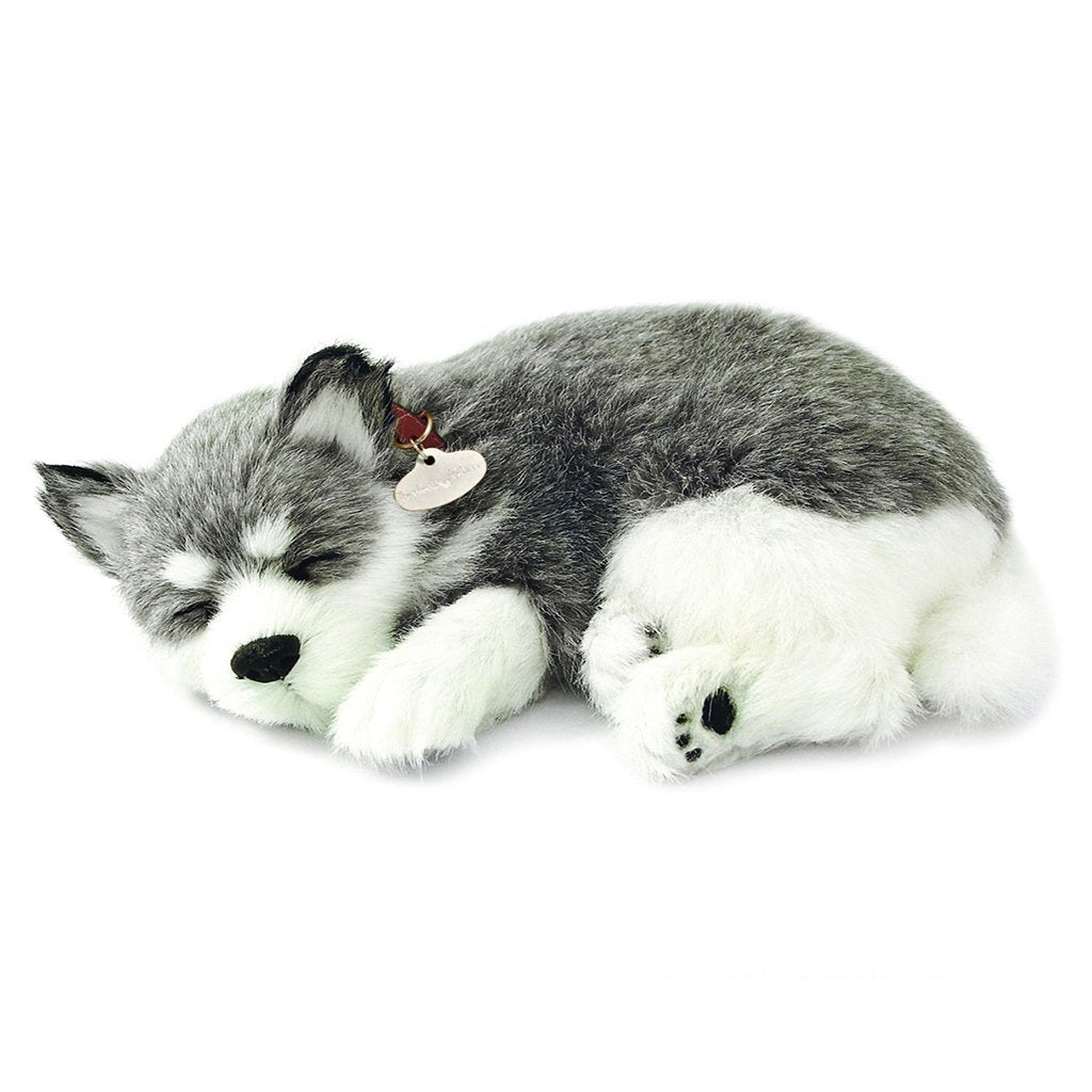 Perfect Petzzz - Alaskan Husky Dog-Yarrawonga Fun and Games