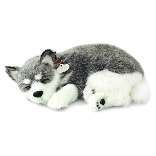 Perfect Petzzz - Alaskan Husky Dog-Yarrawonga Fun and Games