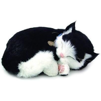 Perfect Petzzz - Black and White Cat-Yarrawonga Fun and Games