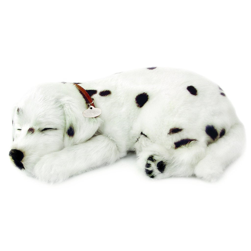 Perfect Petzzz - Dalmation-Yarrawonga Fun and Games.