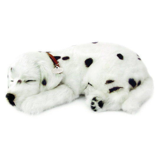 Perfect Petzzz - Dalmation-Yarrawonga Fun and Games.
