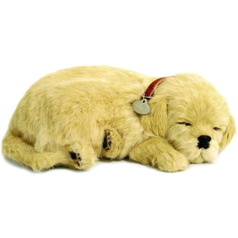 Perfect Petzzz - Golden Retriever Dog-Yarrawonga Fun and Games