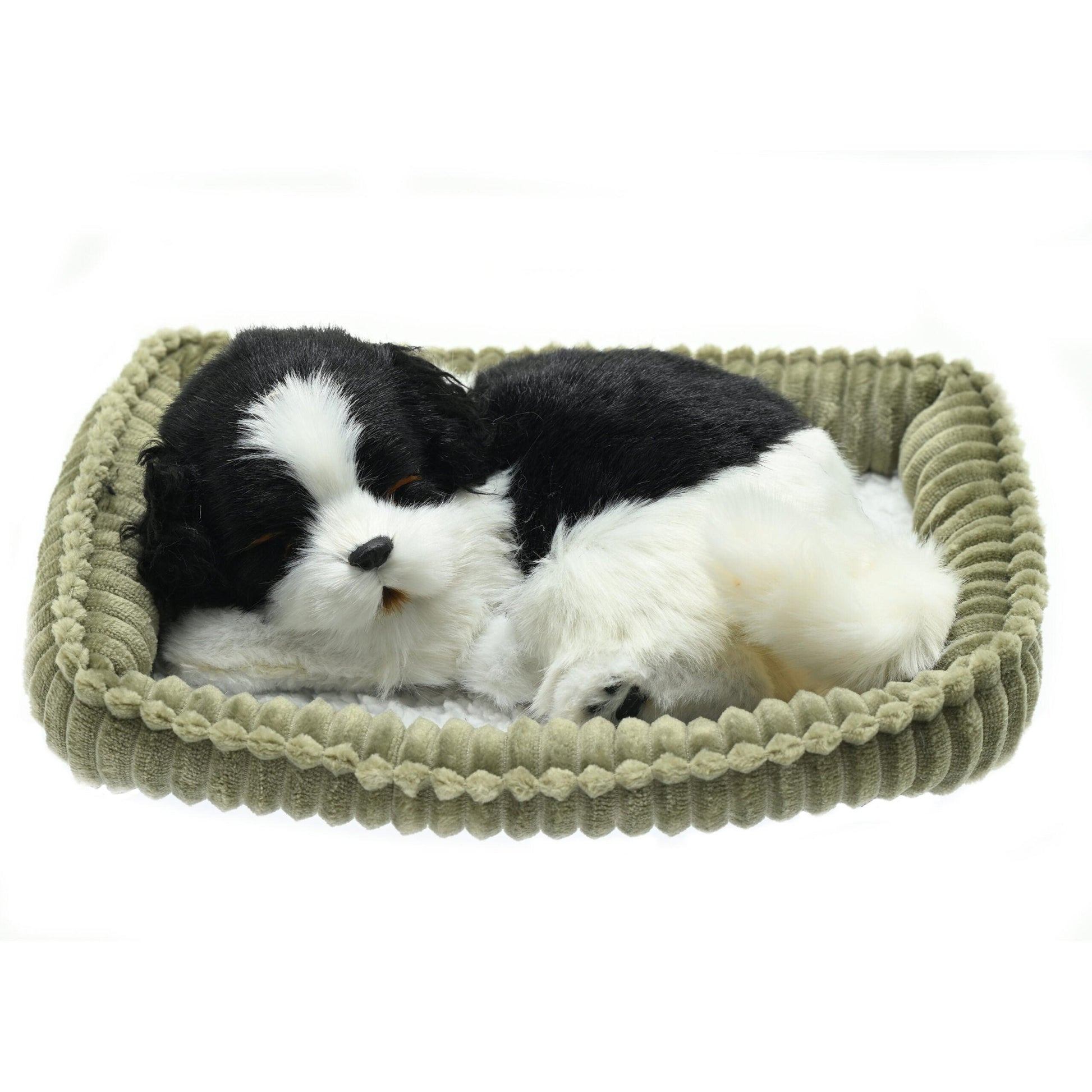 Perfect Petzzz - Waging/Barking Border Collie Dog-Yarrawonga Fun and Games