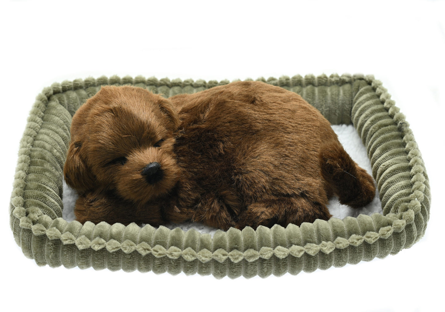 Perfect Petzzz - Waging/Barking Chocolate Lab Dog-Yarrawonga Fun and Games