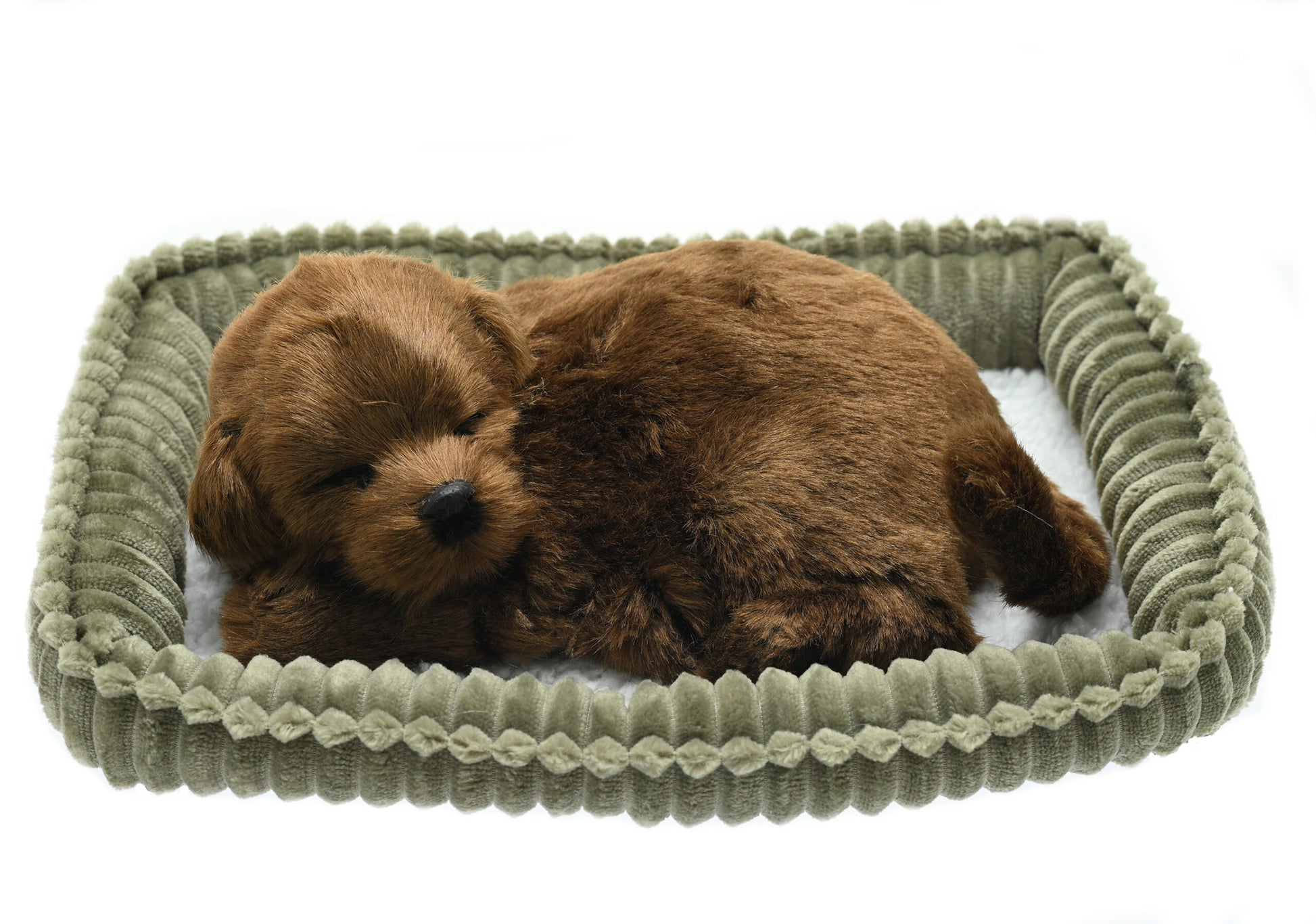 Perfect Petzzz - Waging/Barking Chocolate Lab Dog-Yarrawonga Fun and Games