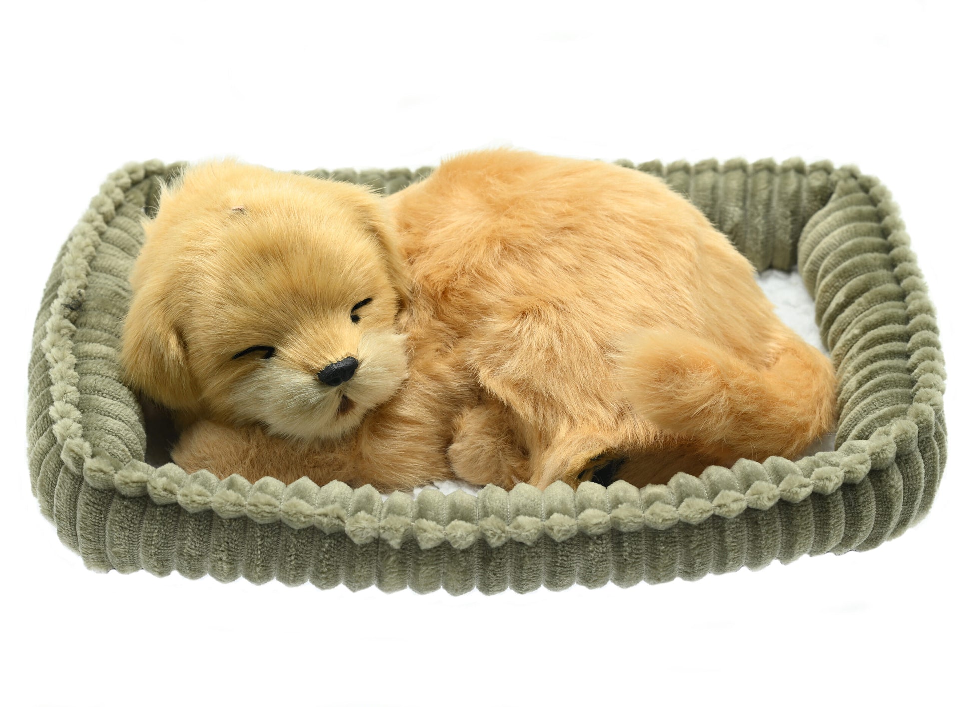 Perfect Petzzz - Waging/Barking Goldern Retriever Dog-Yarrawonga Fun and Games