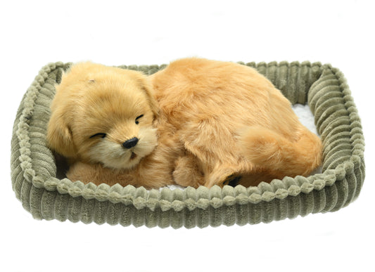 Perfect Petzzz - Waging/Barking Goldern Retriever Dog-Yarrawonga Fun and Games