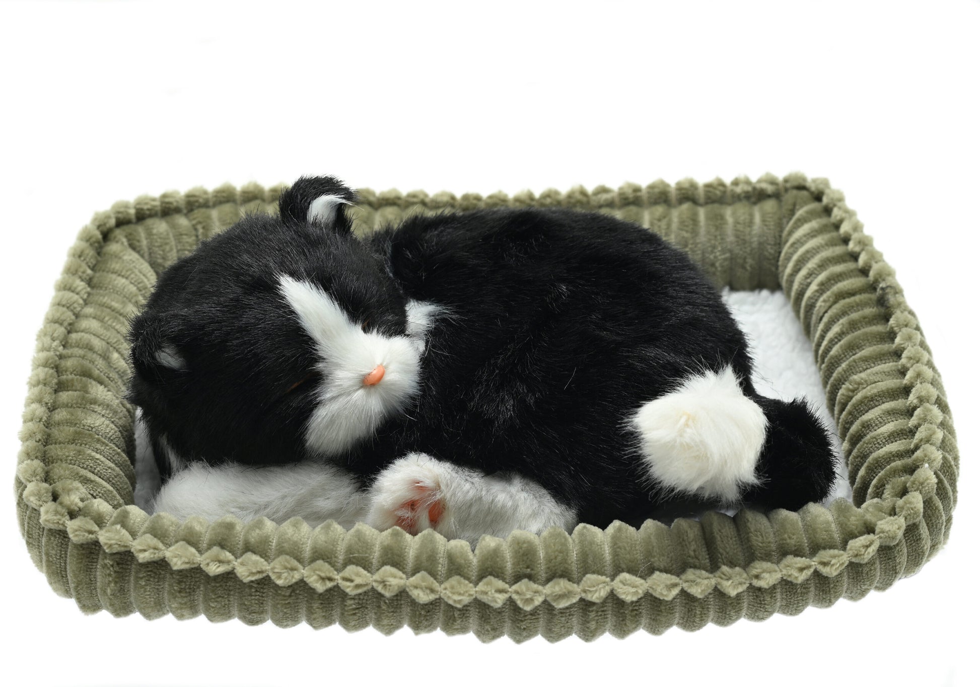 Perfect Petzzz - Waging/Puring Black and White Cat-Yarrawonga Fun and Games
