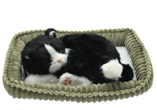 Perfect Petzzz - Waging/Puring Black and White Cat-Yarrawonga Fun and Games